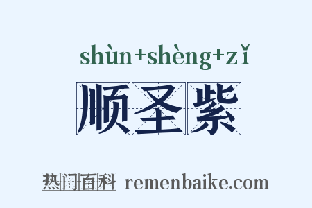 顺圣紫是什么意思的图片